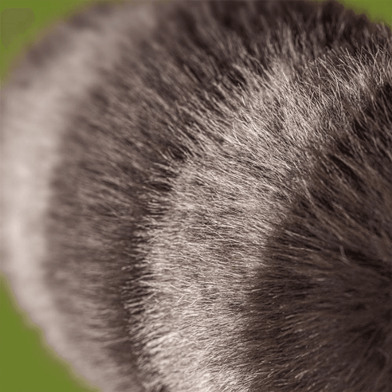 Jellycat - Trixiwoo Raccoon