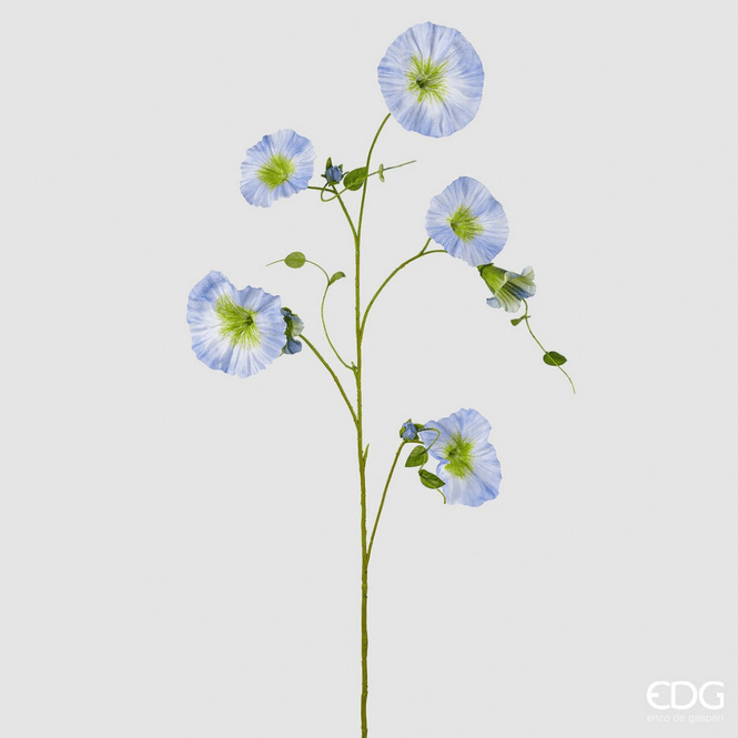 Hovedbilde Ipomea, Lys blå, 110 cm