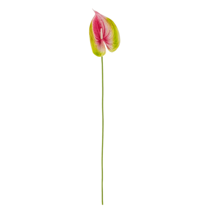 Hovedbilde Kunstig blomst - Flamingo Stilk rosa