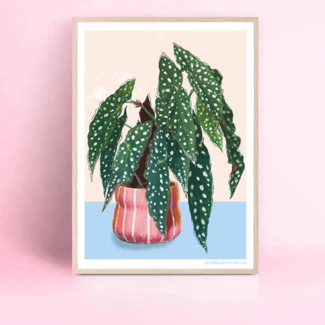 Hovedbilde Plakat 50 x 70 #0106