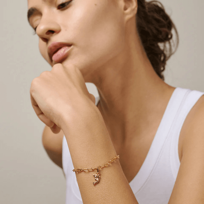 Hovedbilde Enamel Charm - Joyful Dolphin