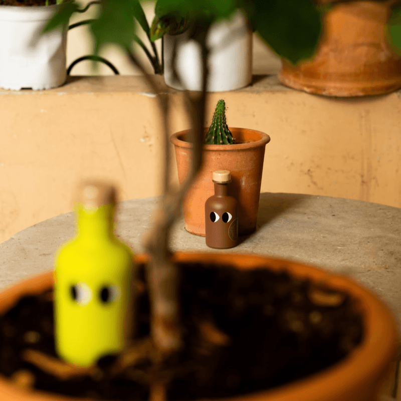 Mini Olive Oils - Gift box