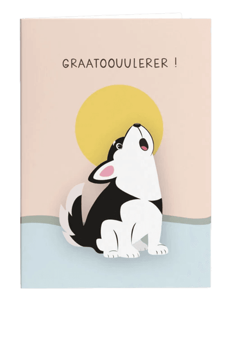 Hovedbilde Kort - Graatoouulerer!